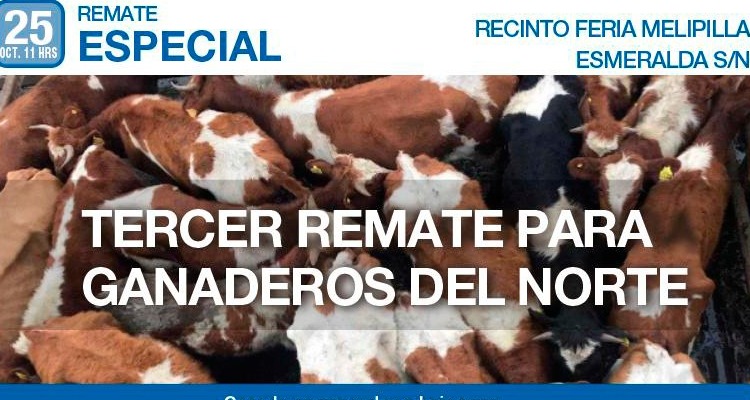 Este viernes se realizará en Melipilla tercer remate para afectados por la sequía