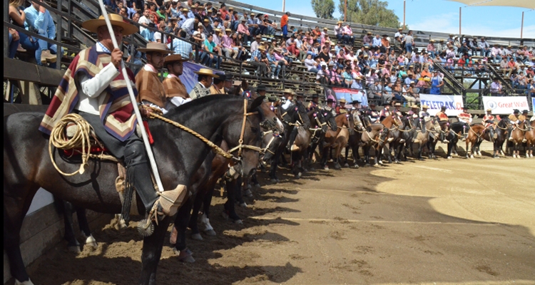 Rodeos de Fenaro están suspendidos hasta nuevo aviso