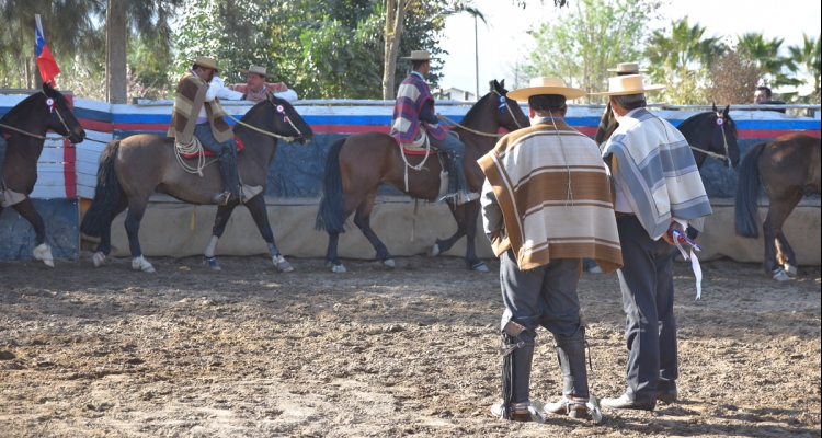 Ferocam suspendió sus rodeos y espera el desarrollo de los acontecimientos