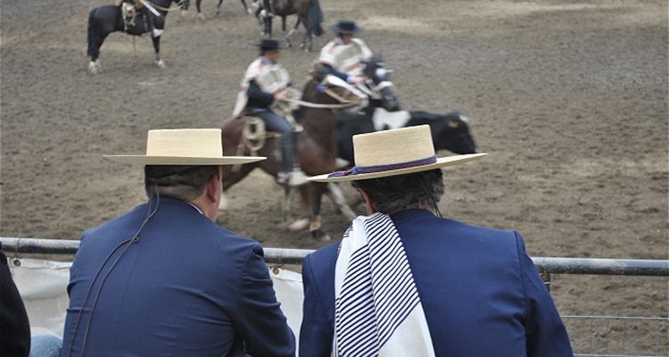 Reporte de delegados validados por la Gerencia Deportiva del Rodeo