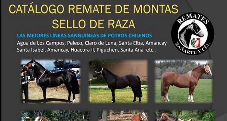 Hay remate en línea en apoyo al programa Sello de Raza