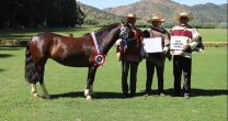 Asociación de Criadores de Colchagua cierra sus actividades del año con Exposición Asociación de Criadores de Colchagua cierra sus actividades del año con Exposición