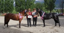 Asociación Aysén realizará exposición y rodeo en el 3er Día del Criador Asociación Aysén realizará exposición y rodeo en el 3er Día del Criador