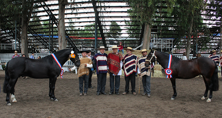 Guindao y Espera, los grandes triunfadores de la Expo Ñuble