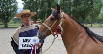 Espolón y Enredosa se quedaron con los Grandes Premios en la Expo Aysén Espolón y Enredosa se quedaron con los Grandes Premios en la Expo Aysén