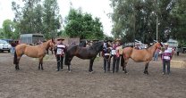 Santa Ana de Melipilla Guindao y Santa Rina Espera mostraron su categoría en Expo San Carlos Santa Ana de Melipilla Guindao y Santa Rina Espera mostraron su categoría en Expo San Carlos