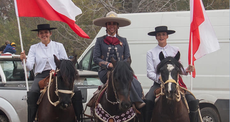 Mariana Guzmán: El Caballo Chileno tiene un corazón inmenso, aprende muy rápido