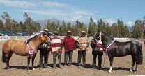 Asociaciones Petorca y Los Andes preparan en conjunto Expo y Rodeo Para Criadores Asociaciones Petorca y Los Andes preparan en conjunto Expo y Rodeo Para Criadores