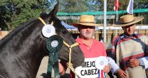 Los Grandes Premios de la Expo Talca 2019 Los Grandes Premios de la Expo Talca 2019