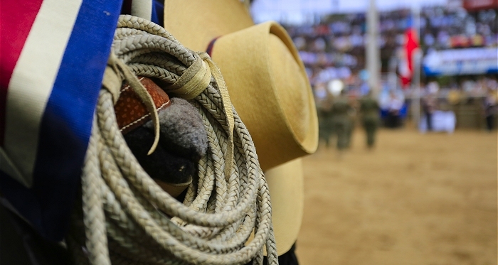 CaballoyRodeo.cl superó el millón de usuarios en 2019