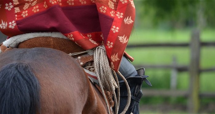 ¡Atención! Este martes cierran inscripciones para la Final de Rodeos Para Criadores 2020