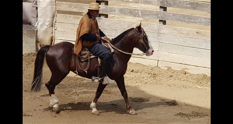 Carlos Gómez tras su primer requisito en Tornado: