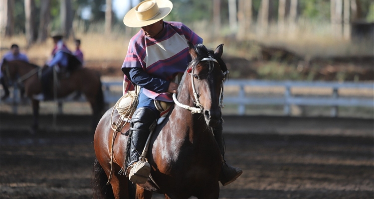 Iván Guerra, delegado de la Final: Venimos a ayudar a que sea un rodeo a la perfección