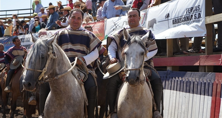 Peleco metió su tercera collera en la Final de Collipulli