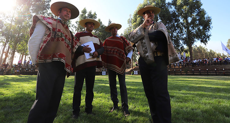 Jurados calificaron como exitosa la Exposición Nacional de Collipulli