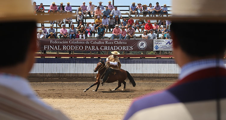 Marta Hernández y Luis Eduardo Cortés representaron a la Rienda en Final de Rodeos Para Criadores