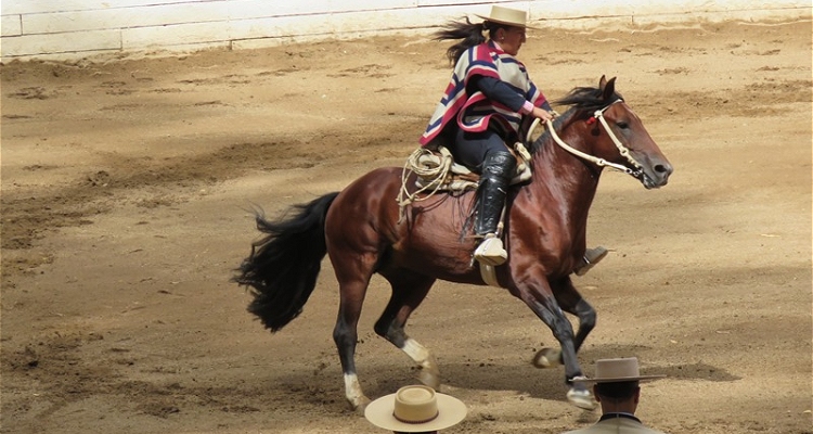 Yeny Troncoso sumó a El Pirata a sus caballos completos