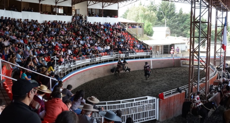 Protagonistas del cuarto animal en Zonal Sur destacaron la fiesta de Frutillar