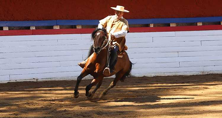 La Rienda de Pucón tendrá destacados participantes en competencia