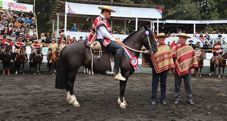 Alucarpa Resagada ganó el Sello de Raza del Clasificatorio de Pucón