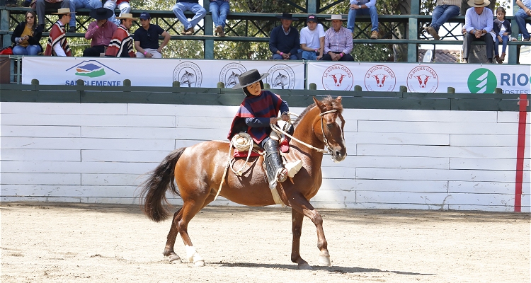 Máximo Farías, un pequeño corralero criado en torno a los caballos