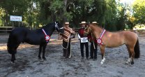 Asociación Bío Bío aportará con Exposición y Rodeo Para Criadores a la Expo Socabío 2020 Asociación Bío Bío aportará con Exposición y Rodeo Para Criadores a la Expo Socabío 2020