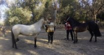 Regalón y Guapita fueron los mejores en muestra de la Asociación Paine de Ferocam Regalón y Guapita fueron los mejores en muestra de la Asociación Paine de Ferocam