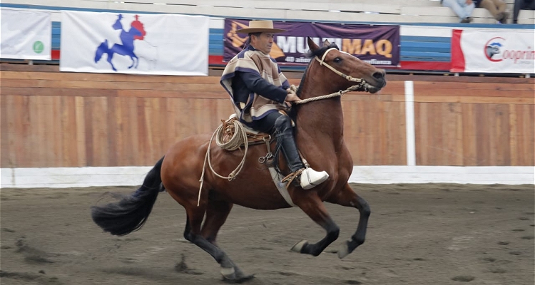 Alfonso