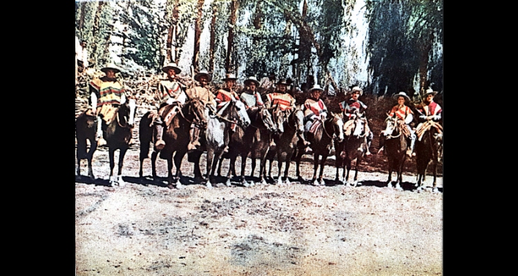 El Caballo Chileno y su Registro Genealógico, un artículo de Miguel Letelier en el Stud Book