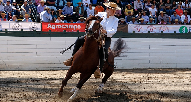 Romané Soto estará este jueves en el Live de Instagram de @ChampiondeChile