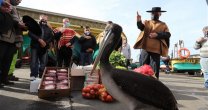 Los emotivos momentos vividos en Valparaíso y Viña del Mar con el cierre de Los Huasos Corren por Chile
