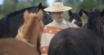 Anuario Criadores 2017: Un recorrido por el Criadero Quilén