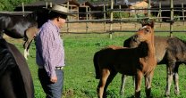 Santa Constanza de Vichuquén recibió la visita del Anuario de los Criadores 2017