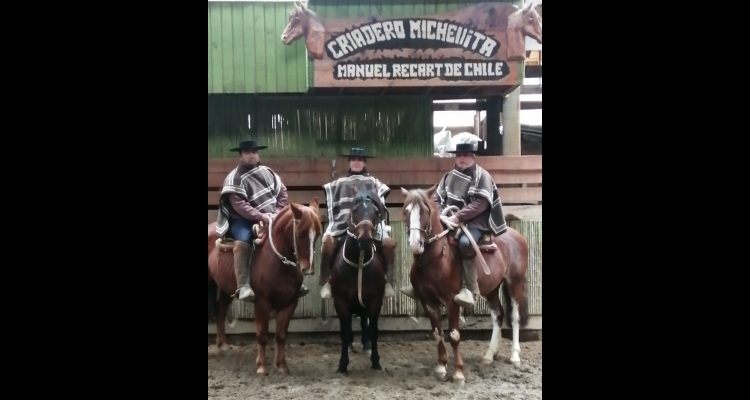 Criadero Michellita y el receso: Hemos estado dedicados a los caballos nuevos