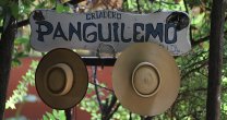 Criadero Panguilemo recibió en 2019 al Anuario de la Federación de la Criadores