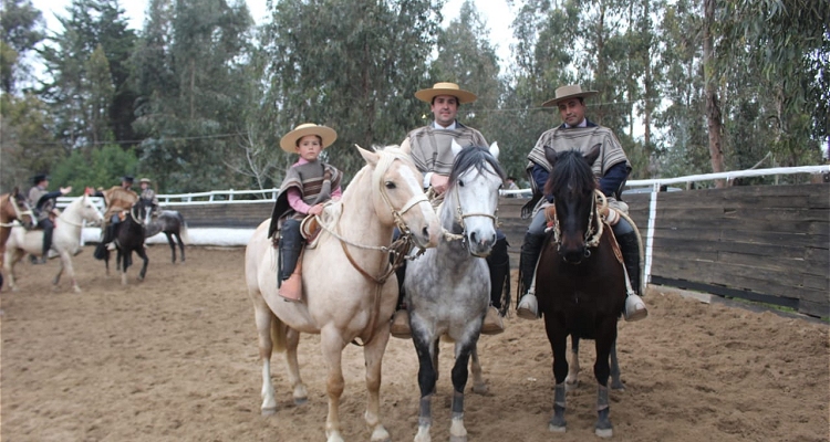 Pallocabe durante el receso: Estamos tranquilos, trabajando caballos nuevos y con nuestra crianza normal