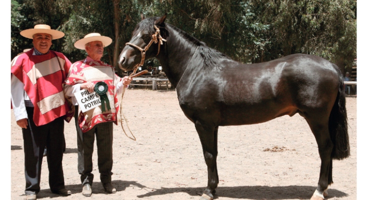 La historia de don Luis Hernán Jara en la crianza de El Sauzal de Mansel