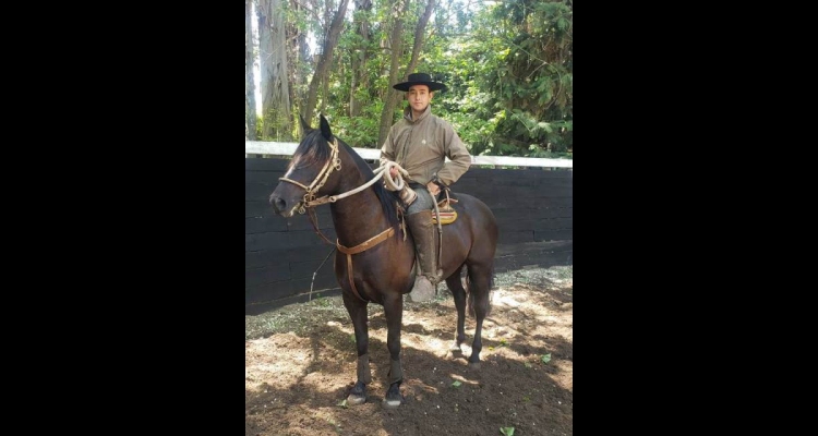 Nicolás Alvarez, arreglador de Corrales del Monte: Mi amor por el Caballo Chileno es de toda la vida