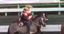 Los Villarroel volvieron con todo y se alzaron como campeones del rodeo del Club Llay Llay Los Villarroel volvieron con todo y se alzaron como campeones del rodeo del Club Llay Llay