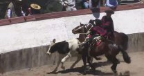 Los más pequeños también volvieron a las quinchas en Cordillera Los más pequeños también volvieron a las quinchas en Cordillera