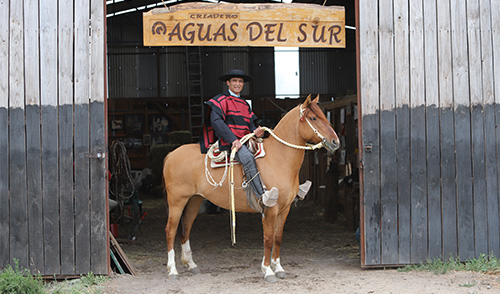 Imagen foto_00000001