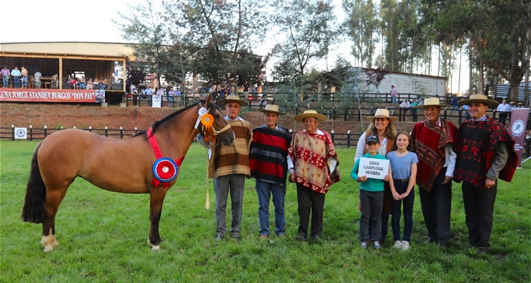 [Personajes 2020] Juan Carlos Loaiza: Ganar un Gran Premio como criador fue una vivencia nueva