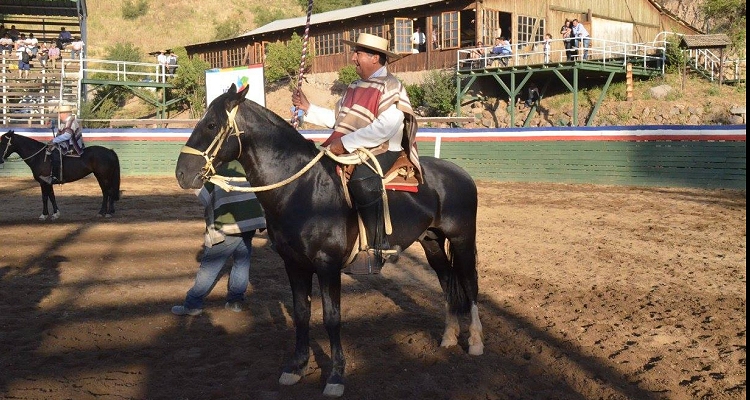 Pablo Molina León: Mi padre incentivó en mí el amor por los caballos