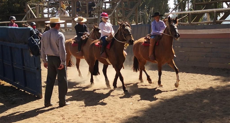 Fernando Moreno: Quiero fomentar lo que son las bases del arreglo del caballo