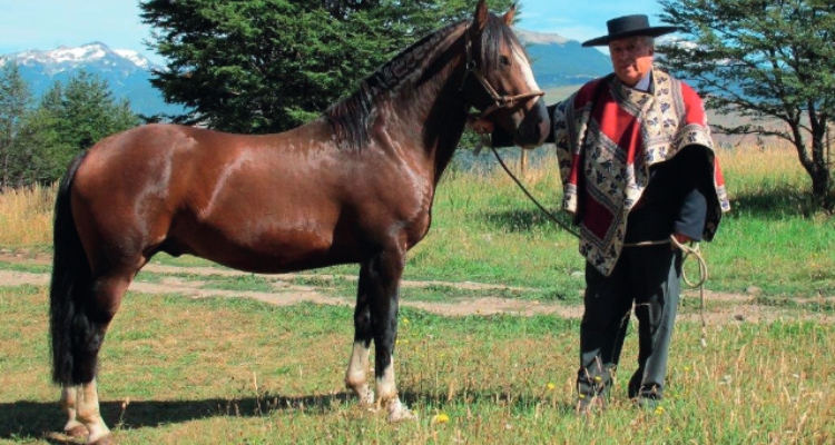 Anuario 2013: Florindo Sandoval, la pasión por la crianza en el sur del mundo