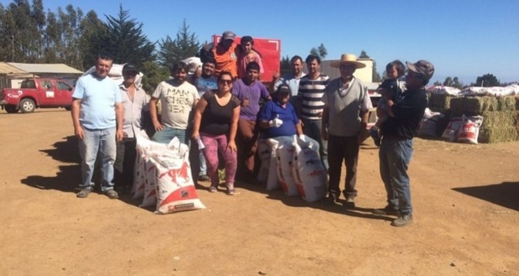 Recuerdo de una gran campaña solidaria: Los huasos ayudaron a los afectados por los mega incendios del 2017