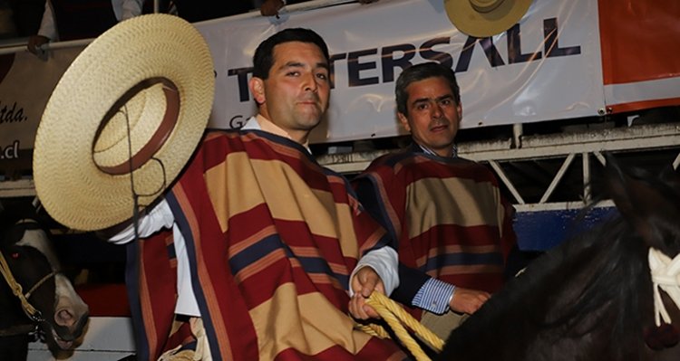 José Miguel Almendras prepara caballos nuevos en el Criadero Reñeco esperando el retorno del Rodeo