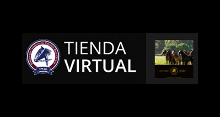 Tienda Virtual sigue aumentando sus visitantes y agrega productos a su catálogo