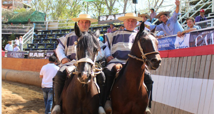 José Pedro Torrealba, Mejor Jinete Amateur en Curicó: Con mi padre hacemos esto porque nos gusta