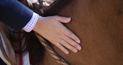 Ricardo Bráncoli y aprobación del Manual de Bienestar Animal del Rodeo: Es  una guía de buenas prácticas 